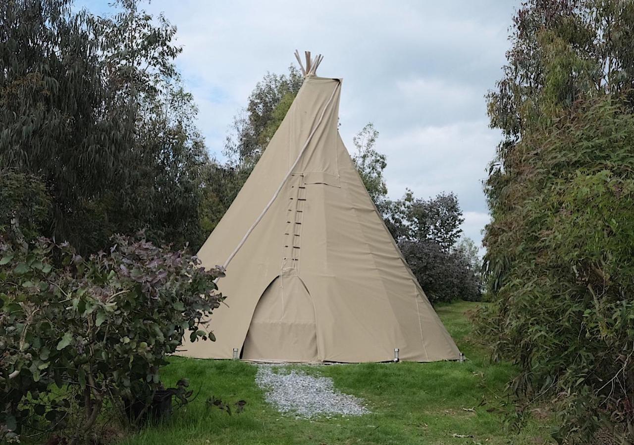 Gumtree Tipis Ξενοδοχείο Bickington Εξωτερικό φωτογραφία