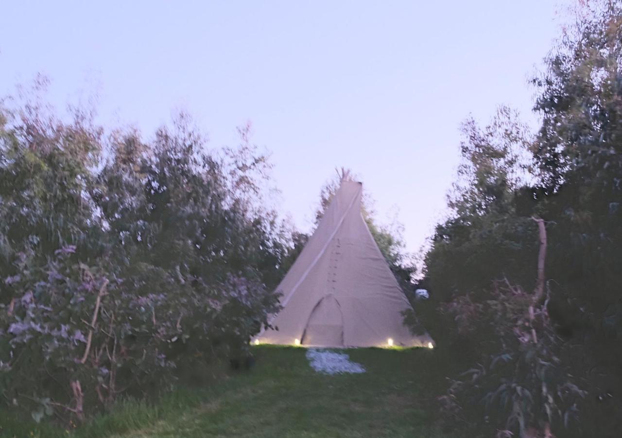 Gumtree Tipis Ξενοδοχείο Bickington Εξωτερικό φωτογραφία